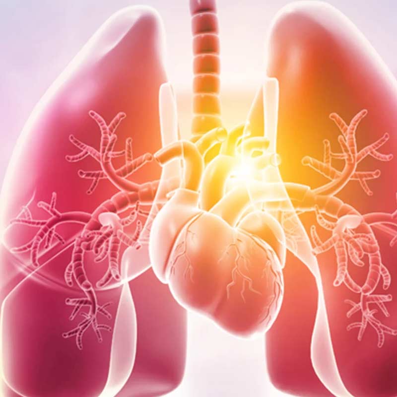 Pulmonary